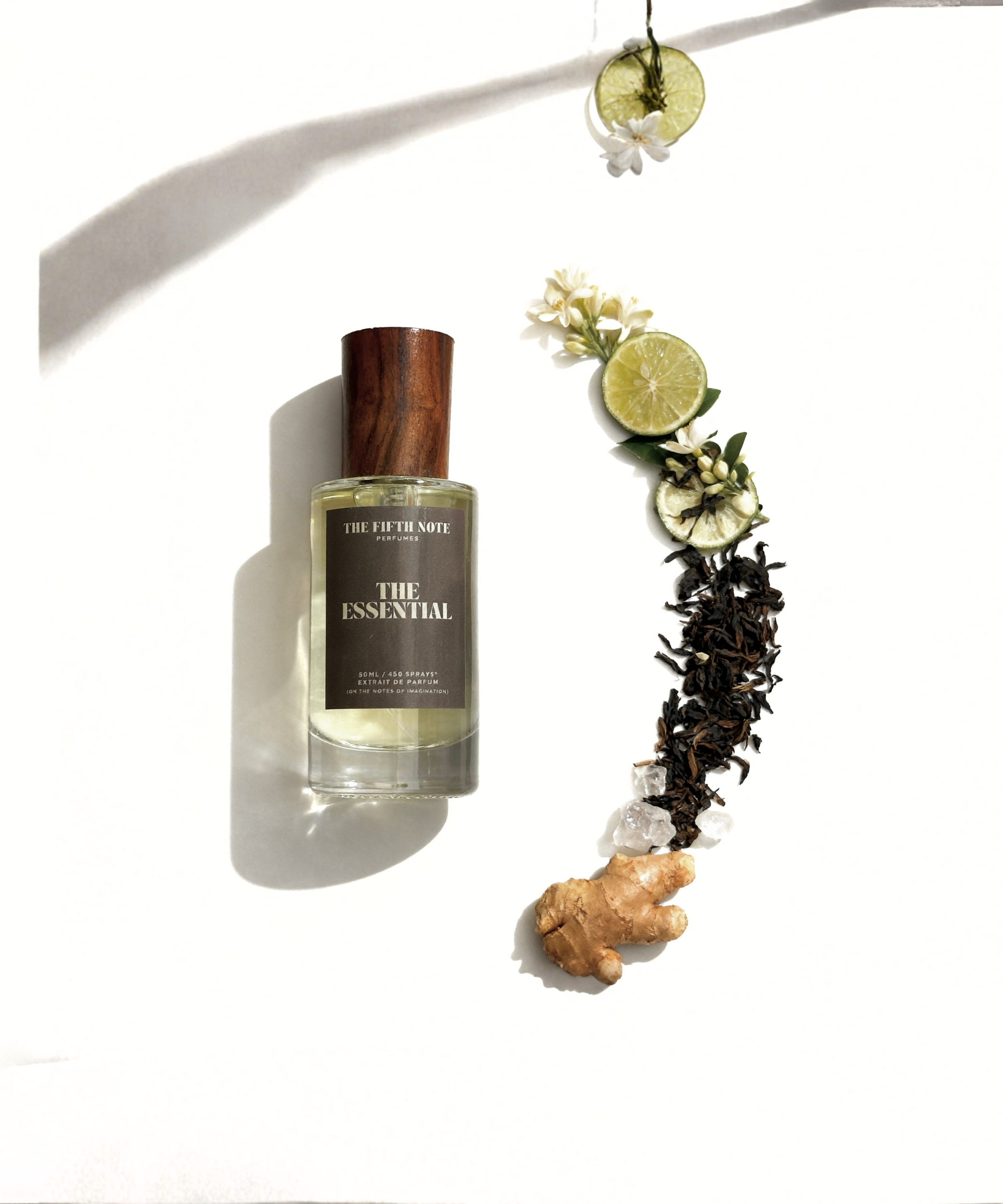 The Essential | Inspired by Imagination