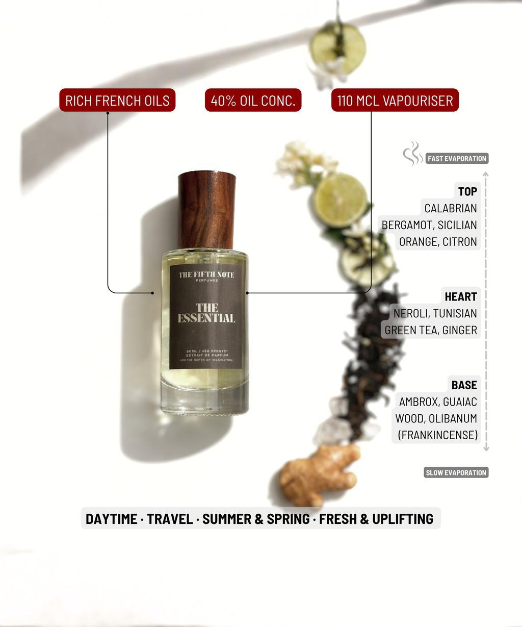 The Essential | Inspired by Imagination