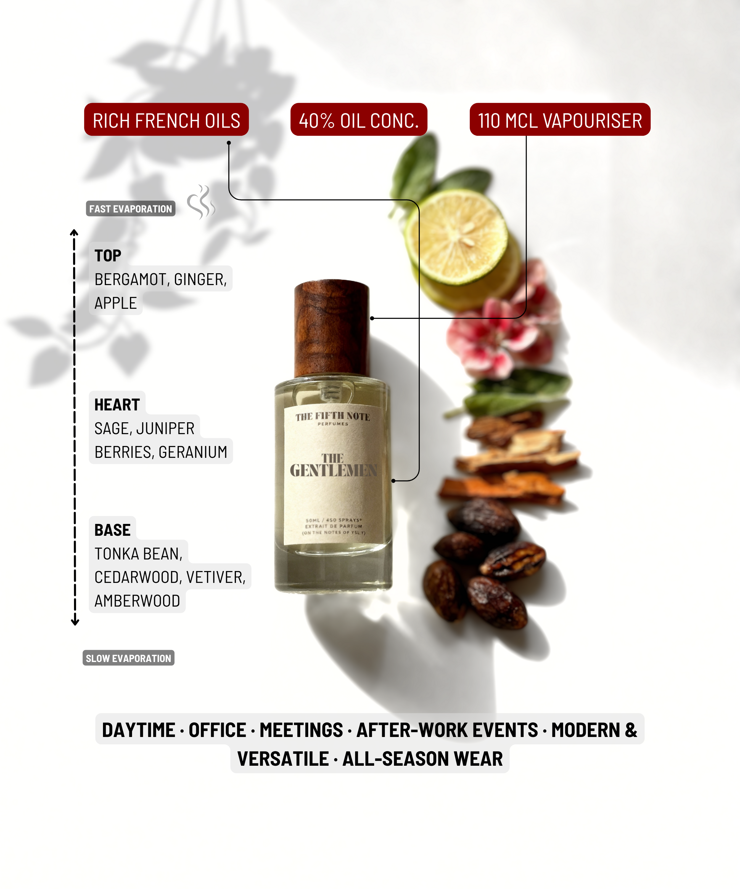 The Gentleman | Inspired by YSL Y