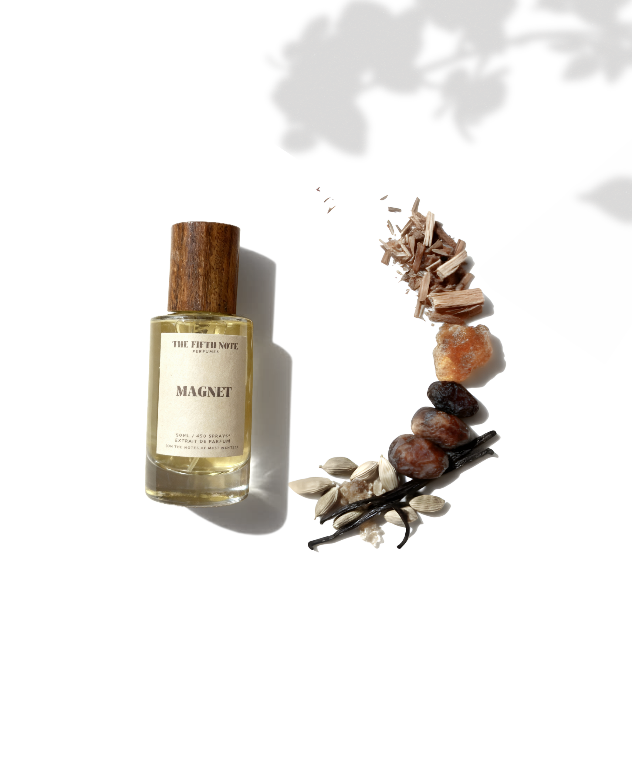 Magnet |  Inspired by Most Wanted